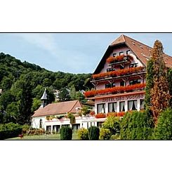 Restaurant La Table de Nadia Klingenthal, Bas-Rhin (67) Restaurant La Table de Nadia Klingenthal, Bas-Rhin (67)