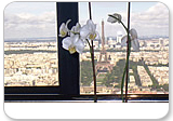 Gourmet invitation : offer a gourmet gift Gourmet gift invitation
